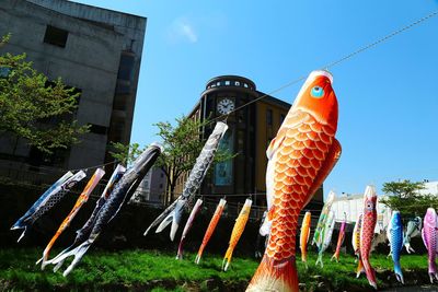 Low angle view of fish hanging by building against sky