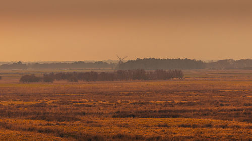 Scenic view of field against sky during sunset