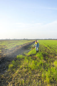 Rear view of man working at paddy field