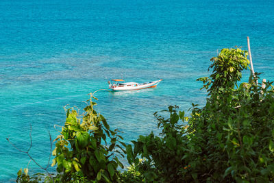 Sailboats moored on sea