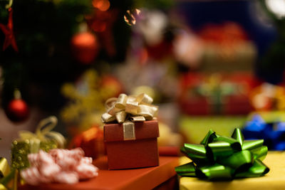 Close-up of plant in box