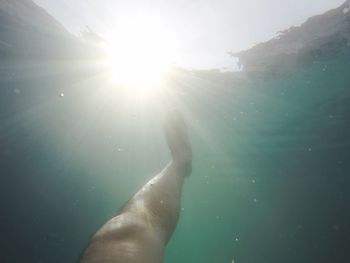 Person looking at camera