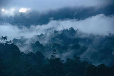 Scenic view of forest against sky