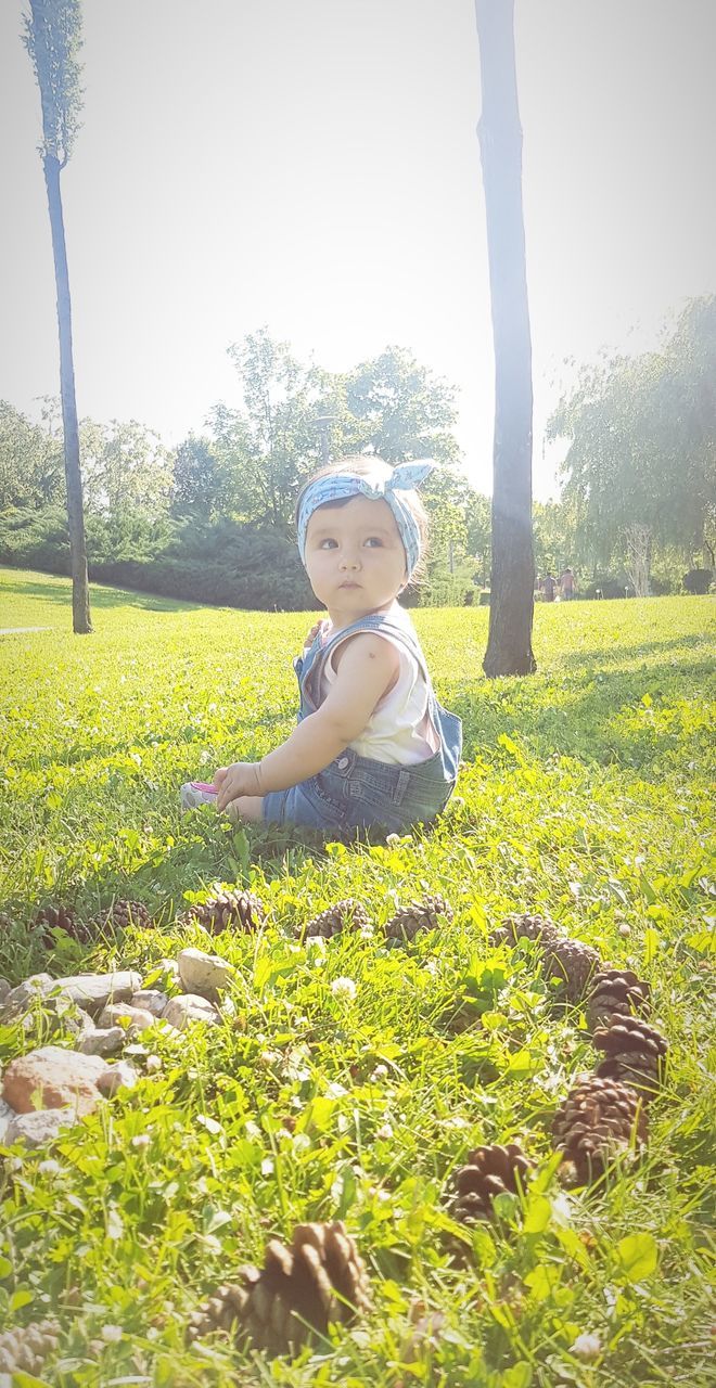 plant, child, childhood, field, grass, nature, land, day, cute, one person, growth, real people, tree, sunlight, green color, lifestyles, leisure activity, beauty in nature, casual clothing, innocence, outdoors