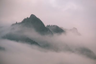 Low angle view of fog against sky