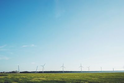 Wind turbines on field