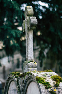 Close-up of cross in cemetery