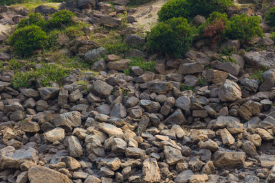 High angle view of stones