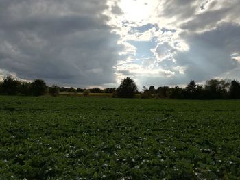 Scenic view of grassy field against cloudy sky