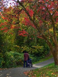 Rear view of people on road amidst trees during autumn