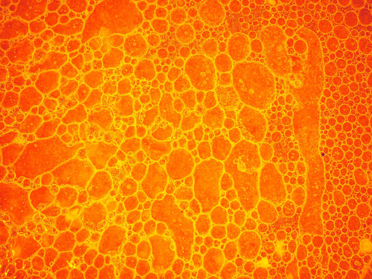 FULL FRAME SHOT OF ORANGE PATTERN