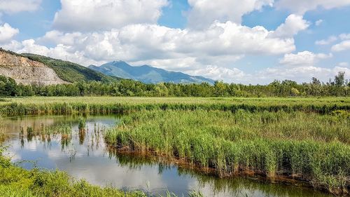 Scenic view of lake against sky