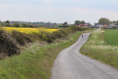 Road passing through field