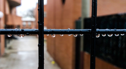 Close-up of wet metal fence during rainy season