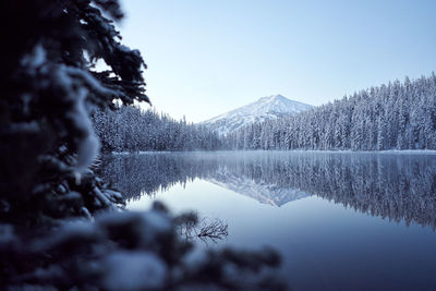 Reflection of tree in lake against sky during winter