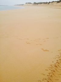 Scenic view of beach