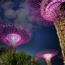 Low angle view of pink flowering plant against sky at night