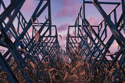 Low angle view of plants growing on field against sky