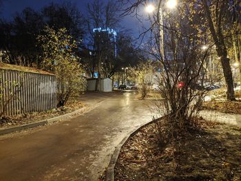 Road amidst trees in park at night