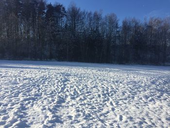 Snow covered field against trees