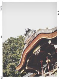 Low angle view of trees against clear sky