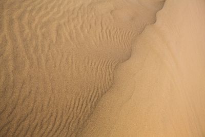 Full frame shot of sand dune