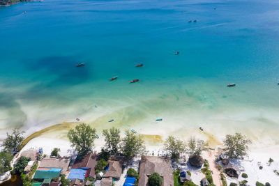 View of fish swimming in sea