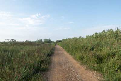 Dirt road amidst plants on field against sky