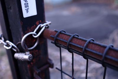 Close-up of lock on gate