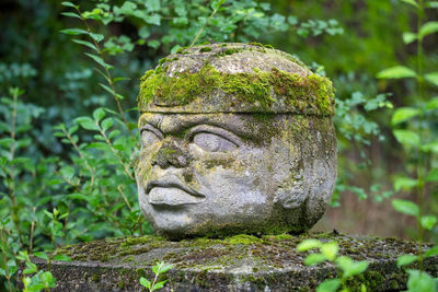 Close-up of buddha statue on moss