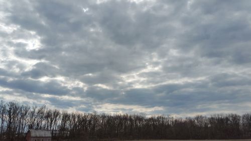 Trees on landscape against storm clouds