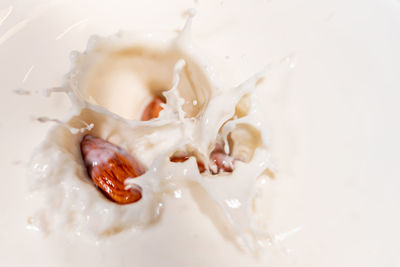 High angle view of ice cream on white background