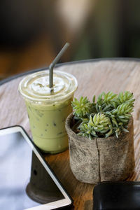 High angle view of potted plant on table