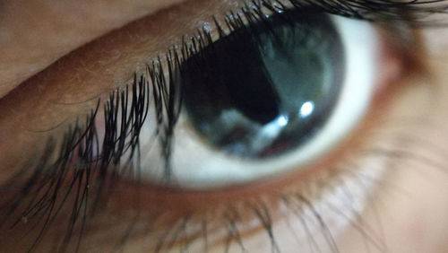 Full frame shot of human eye