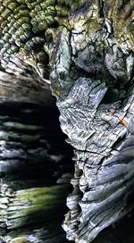 Close-up of rock in water