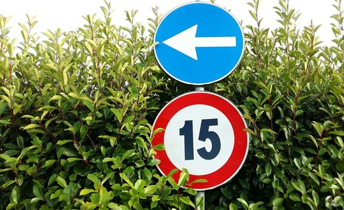 Road signs amidst plants