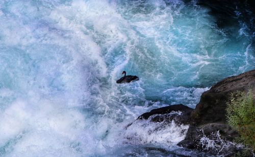 Person surfing in sea