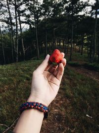 Cropped image of hand holding strawberry against trees in forest