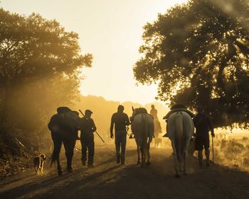 Rear view of silhouette people walking on landscape against sky during sunset