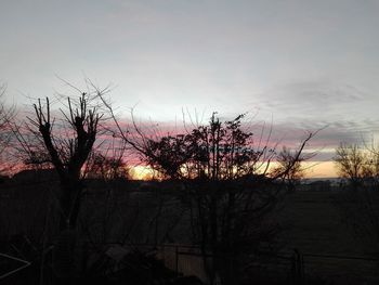 Silhouette bare trees against sky at sunset