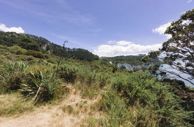 Scenic view of land against sky