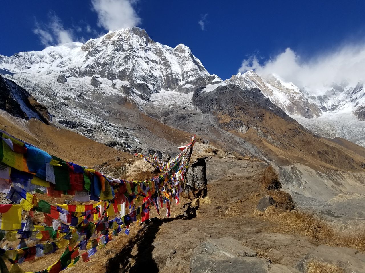 Himalayan Encounters