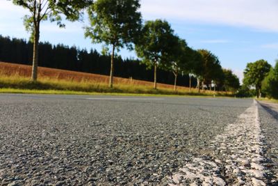 Empty road along trees