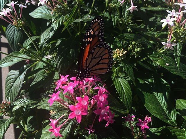 St. Simons Island, Ga