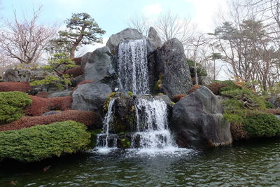 Scenic view of waterfall in forest