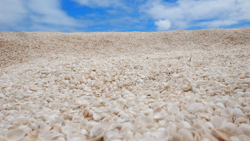 Close-up of landscape against sky