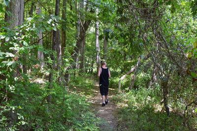 Rear view of people walking in forest