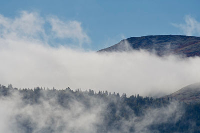Mountain and  trees , fog and blue sky.