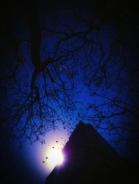 Low angle view of bare trees against sky