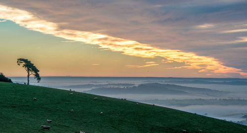 Scenic view of calm sea against sky
